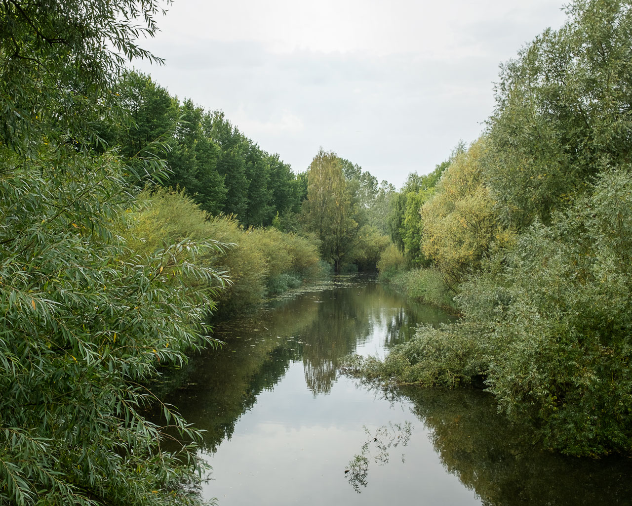 Under Your Nose - 02