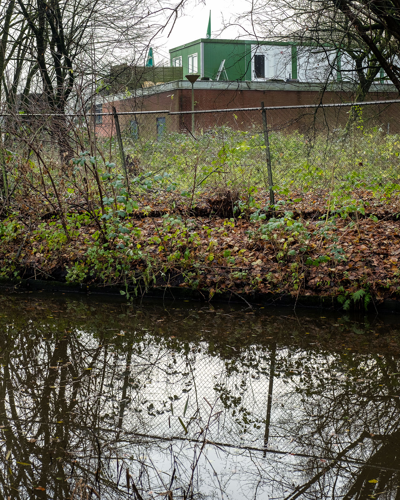 Under Your Nose - 04