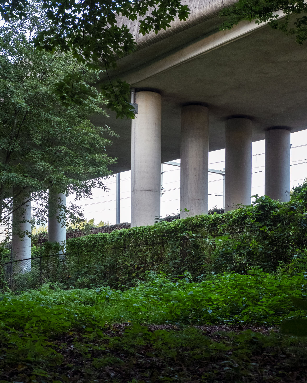 Under Your Nose - 14